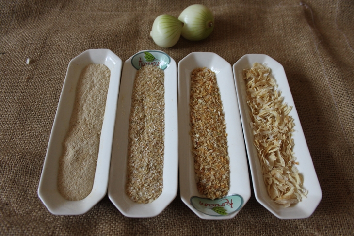 dried Onion-4