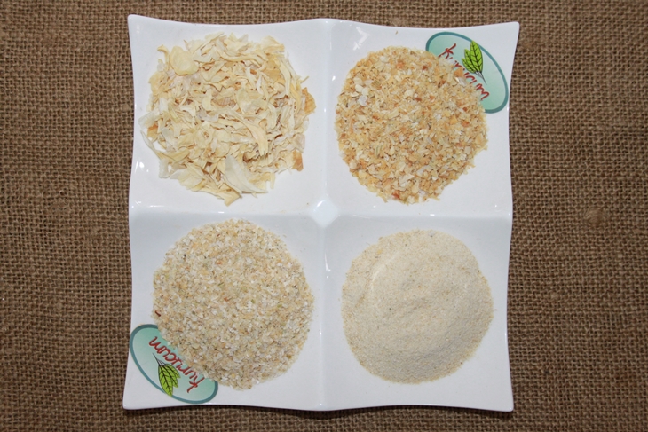 dried Onion-5