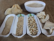 dried mushroom powder